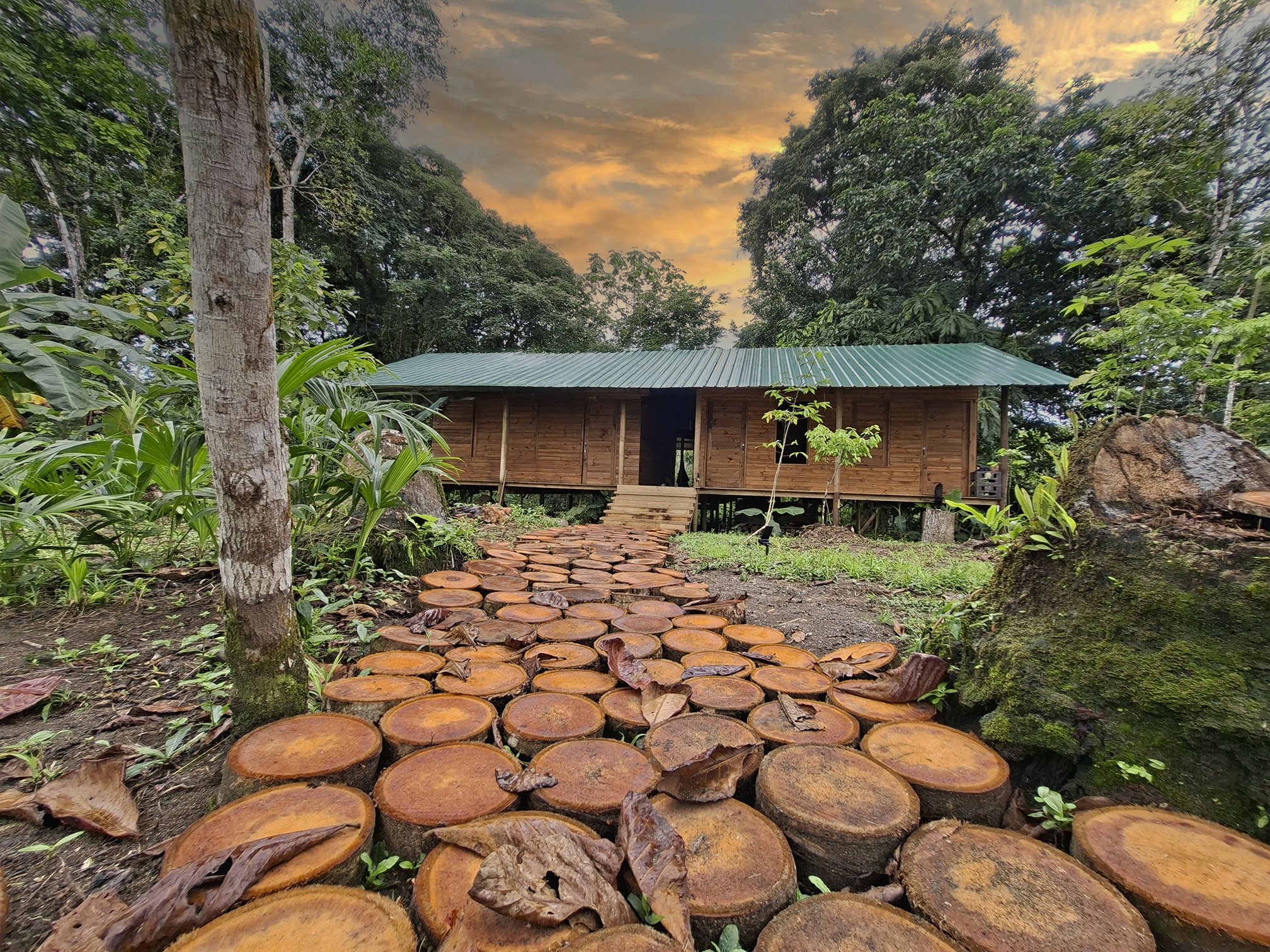 Coliving & Naturaleza
